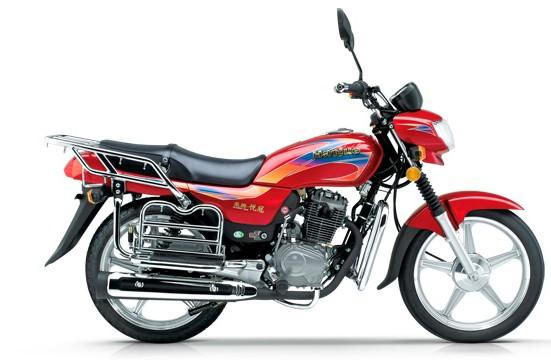 【大阳DY110-26A】价格,厂家,两轮摩托车